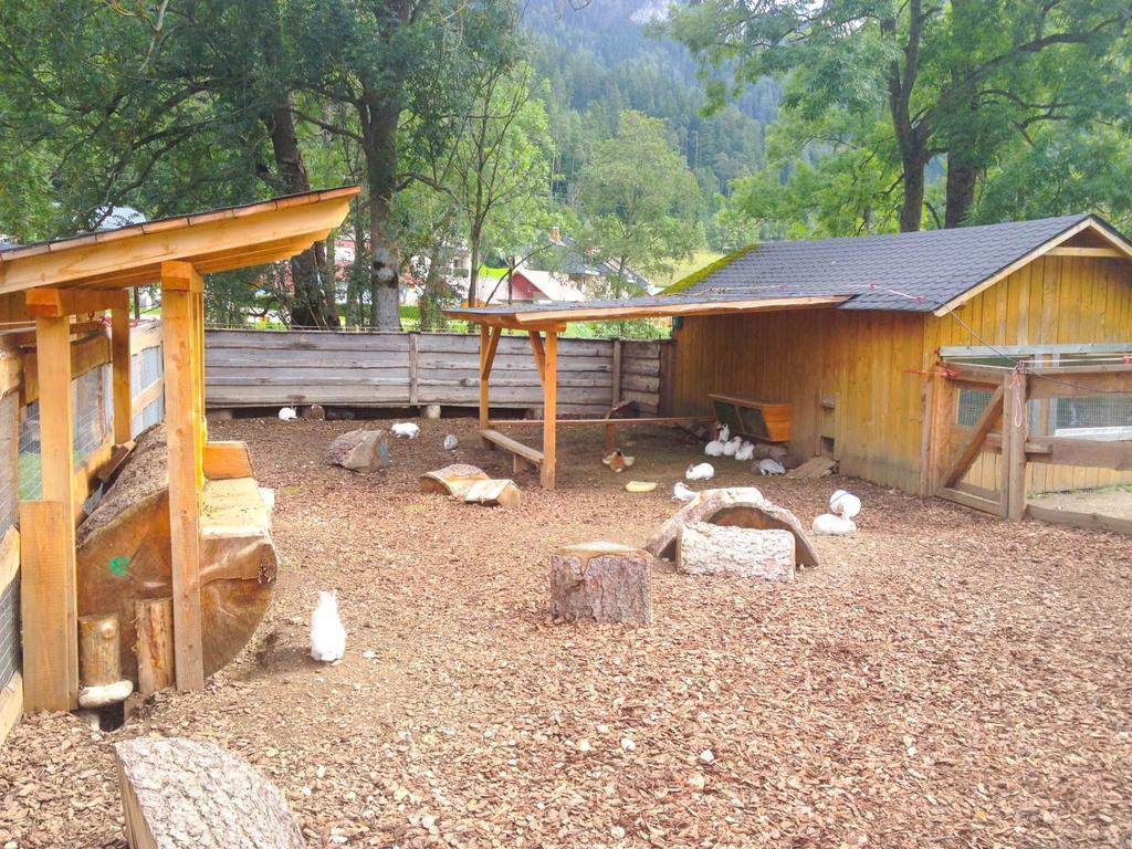 Kinderhotel Appelhof Murzsteg ภายนอก รูปภาพ