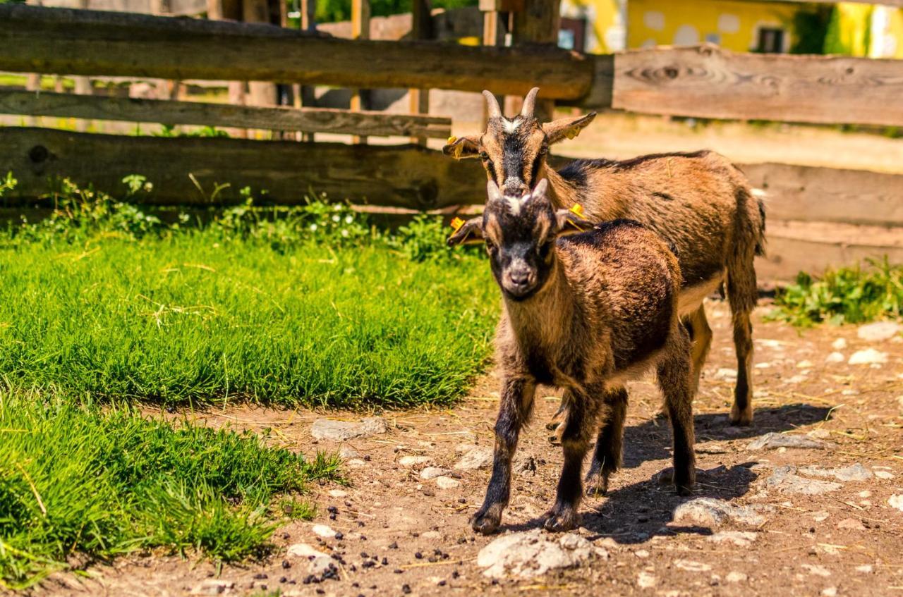 Kinderhotel Appelhof Murzsteg ภายนอก รูปภาพ