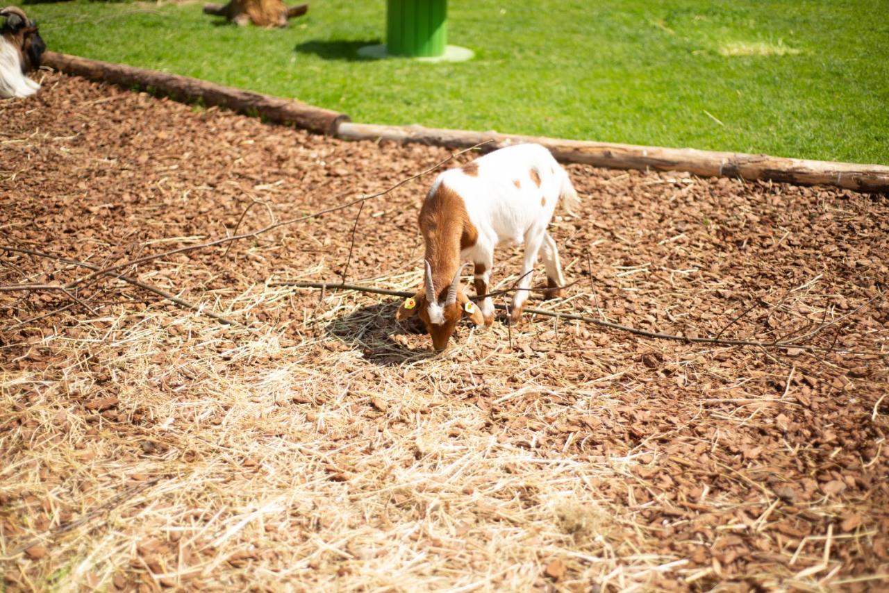 Kinderhotel Appelhof Murzsteg ภายนอก รูปภาพ